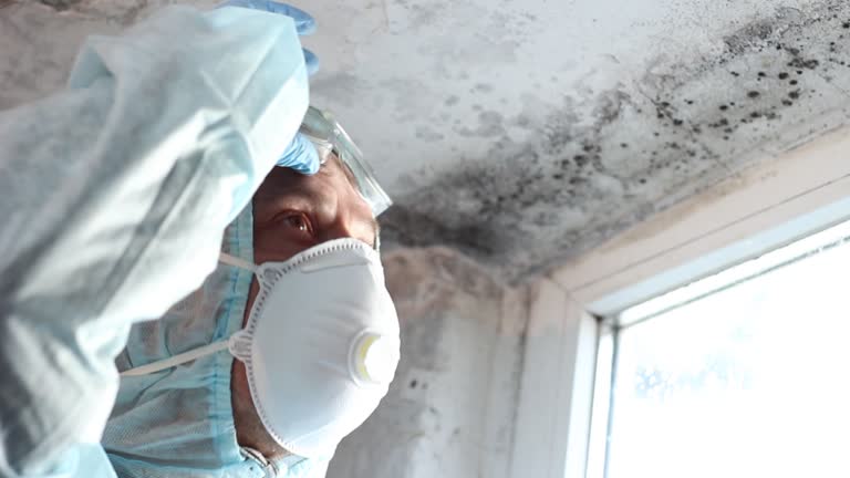 Mold Removal for HVAC Installations